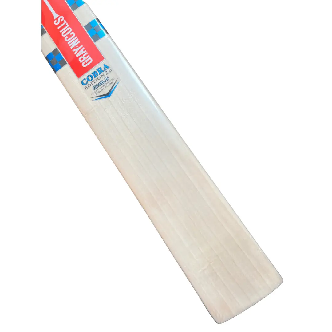 gray-nicolls-cobra-gn-55-english-willow-cricket-bat-sh-cricket-bats-612344.webp