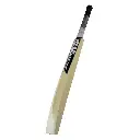 SAREENSPORTSTechniqueBat_4.webp