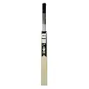 SAREENSPORTSTechniqueBat_1 (1).webp