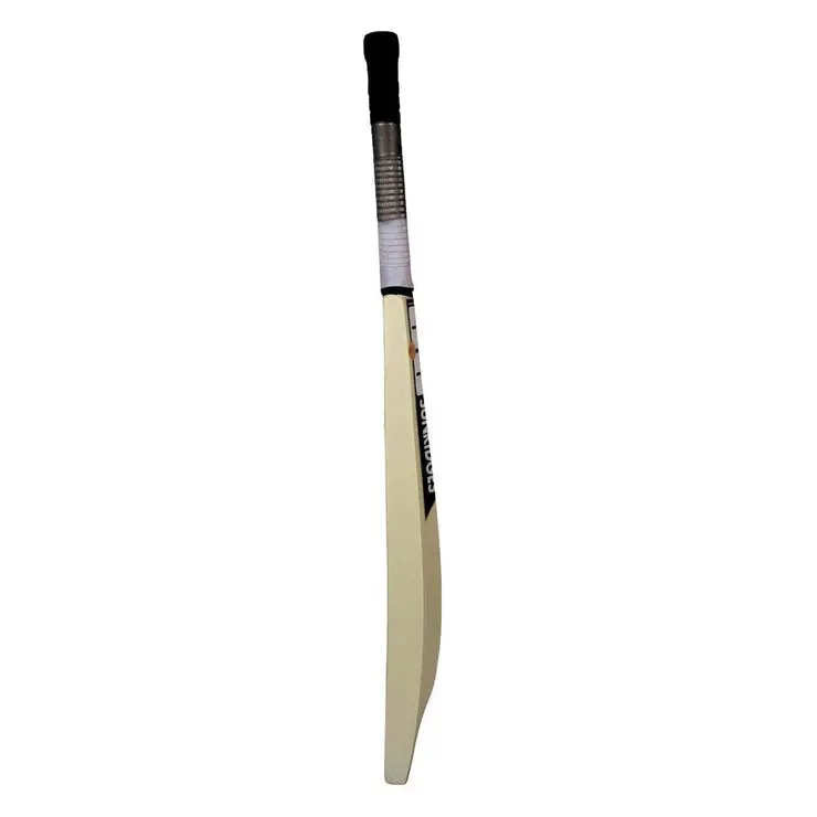 SAREENSPORTSTechniqueBat_3 (1).webp