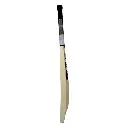 SAREENSPORTSTechniqueBat_3 (1).webp