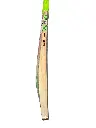 0010980_gn-gn4-hypernova-sh-english-willow-cricket-bat.webp