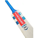 gray-nicolls-cobra-gn-55-english-willow-cricket-bat-sh-cricket-bats-386741.webp