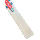 gray-nicolls-cobra-gn-55-english-willow-cricket-bat-sh-cricket-bats-612344.webp