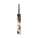 0006682_kb-beast-51-cricket-bat.webp