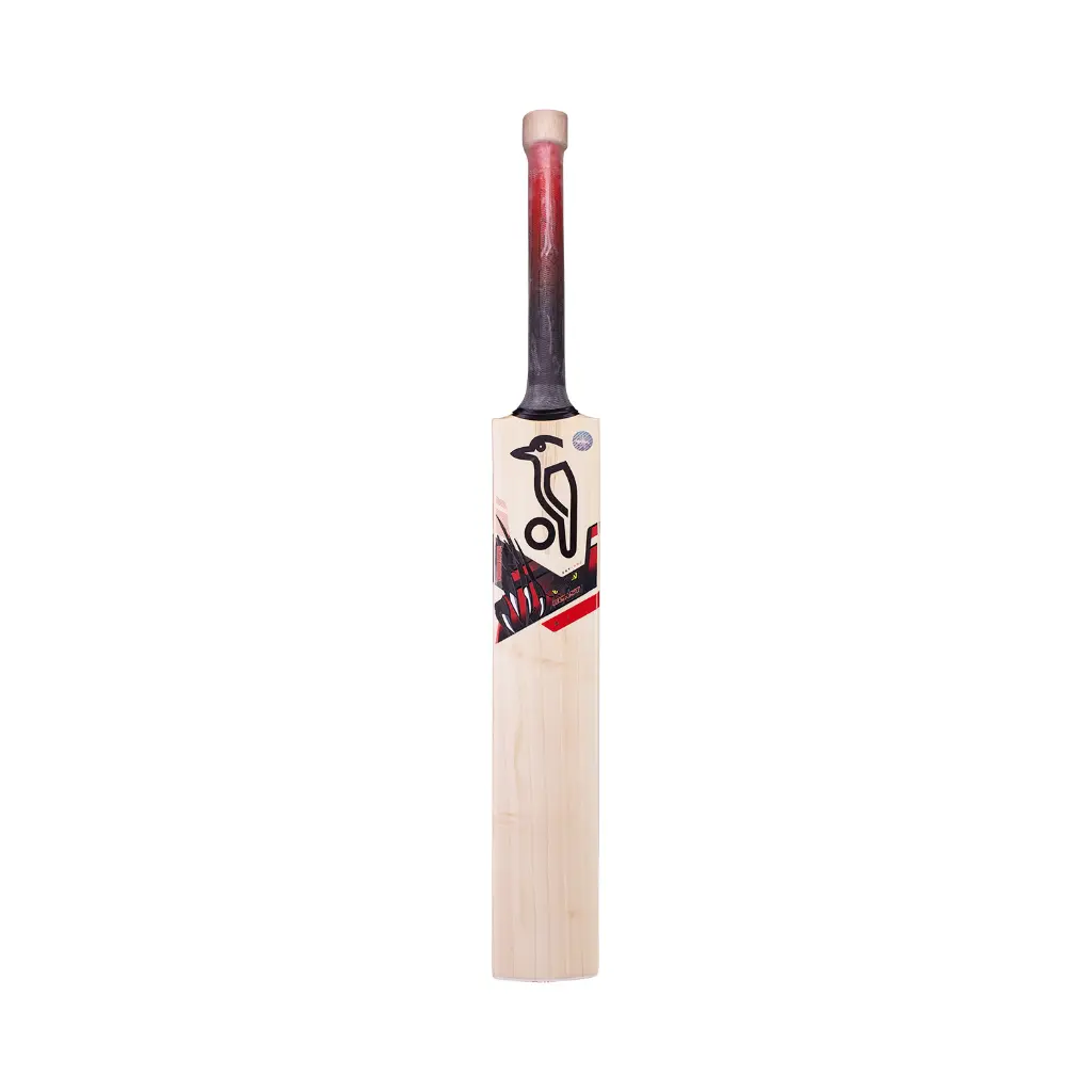 0006681_kb-beast-51-cricket-bat.webp