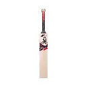 0006681_kb-beast-51-cricket-bat.webp