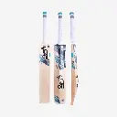 Bat_Vapor-3_1__51376.webp
