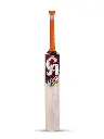 PLUS-10000-CRICKET-BAT-1_900x_6b4315cc-31e9-452b-a0ad-29f371747088_1600x.webp