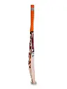 PLUS-10000-CRICKET-BAT5_900x_60bfc103-50de-45cd-93ec-87f57211e285_670x.webp