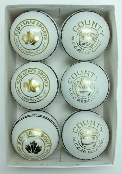 Screenshot 2025-11-07 163050.webp