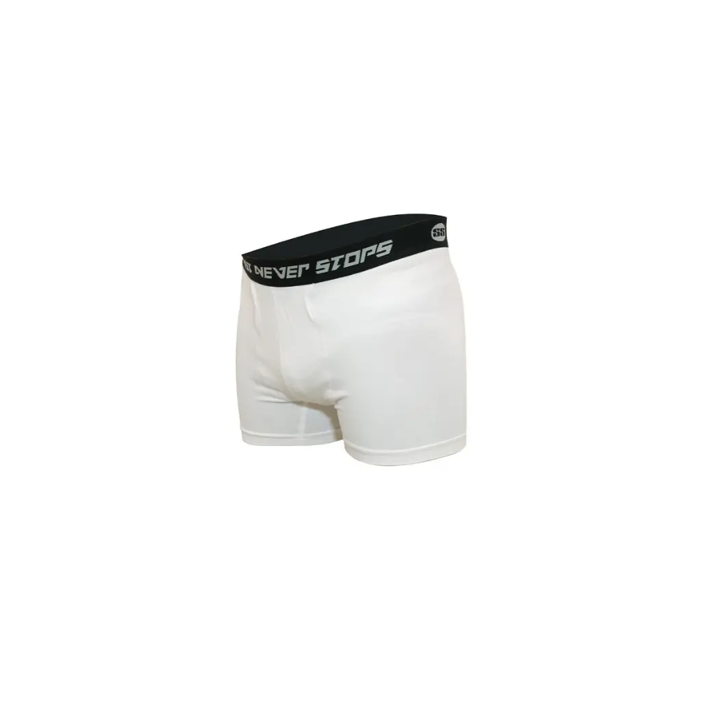 male_protector1.webp