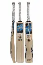 SS Smacker Blaster English Willow Cricket Bat
