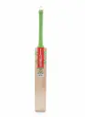 Gray Nicolls GN 3 HYPERNOVA English Willow Bat