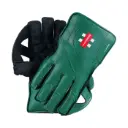 GN Classic Players Wicket Keeping Gloves