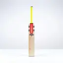 Gray Nicolls Stratos 1.1 300 Cricket Bat - Adult