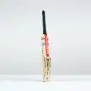 Gray Nicolls Victus 200 Cricket Bat - Adult 