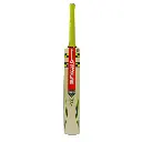 Gray-Nicolls Kashmir Willow Junior Cricket Bat