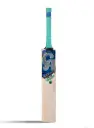 CA Plus 8000 English Willow Cricket Bat - SH