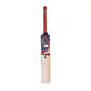 CA Plus 5000 English Willow Cricket Bat