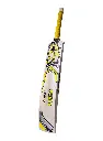 CA Pro Force 10000 