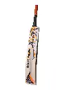 CA Pro Force 3000
