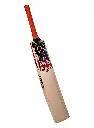 CA 3000 English Willow Bat
