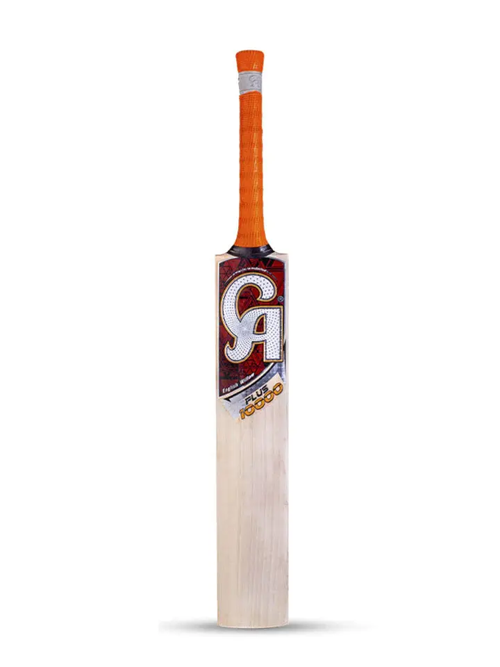 DSC Intense Attitude English Willow Bat
