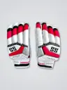 SS Super Test Batting Gloves