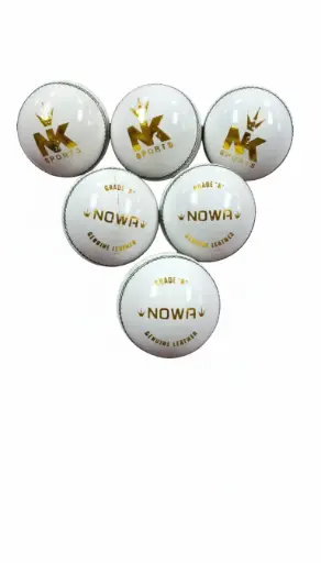 NK Nowa Leather Ball