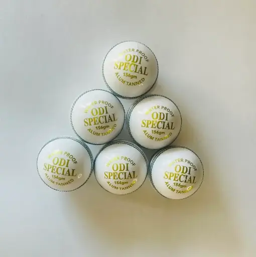 Red Leafs ODI Special Leather Ball 