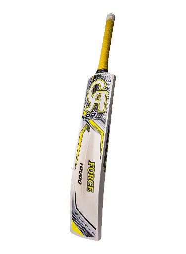 CA Pro Force 10000 